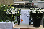 「福井城址お堀の灯り」2016