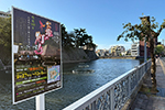 「福井城址お堀の灯り」2025